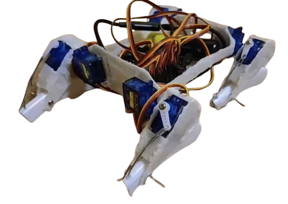 HYW DOG